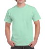 Heavy Cotton Adult T-Shirt Kleur Mint Green