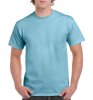 Heavy Cotton Adult T-Shirt Kleur Sky