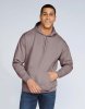 Softstyle Midweight Fleece Adult Hoodie Kleur Paragon