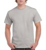 Ultra Cotton Adult T-Shirt Kleur Ice Grey