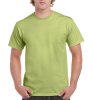 Ultra Cotton Adult T-Shirt Kleur Pistachio